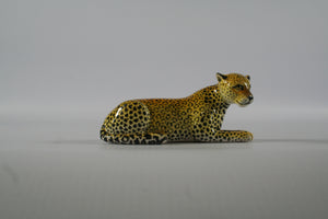 Small lying down leopard paws together