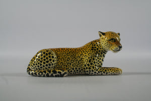 Small lying down leopard paws together