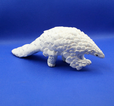 Small white pangolin front feet up