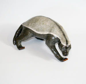 Honey Badger looking down