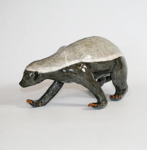 Honey Badger looking down