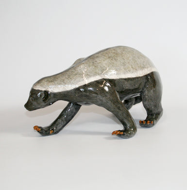 Honey Badger looking down