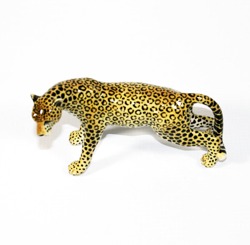 Medium Leopard stretched forward with head tilted left