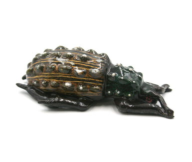 Emerald beetle with yellow markings