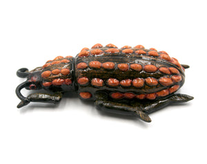 Brown beetle with lumps