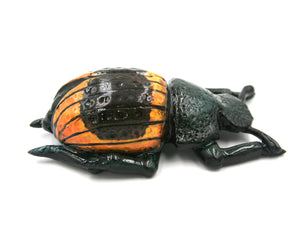 Deep green beetle with brown and yellow wings