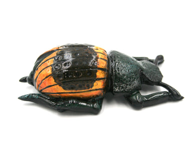 Deep green beetle with brown and yellow wings