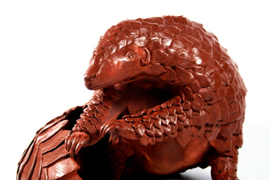 Large Brown Brushed Pangolin sitting curled