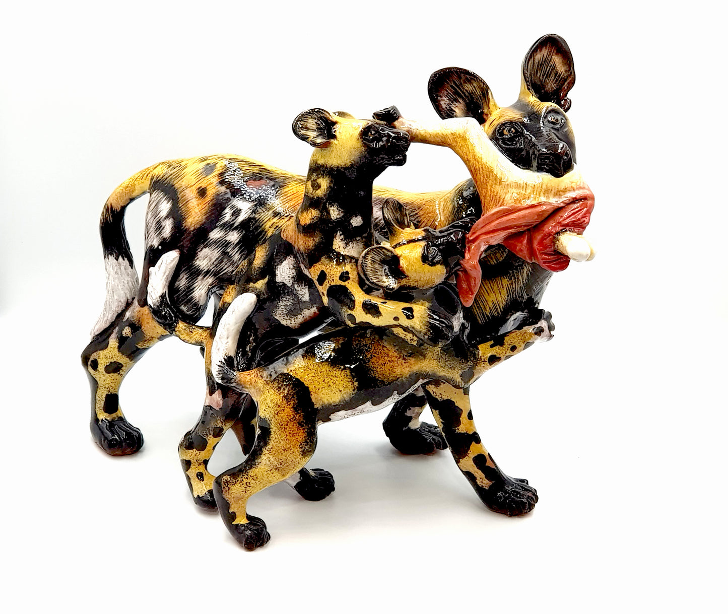Pack of wild dogs