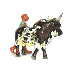 Roping Nguni with calf