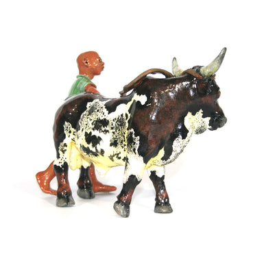 Roping Nguni with calf