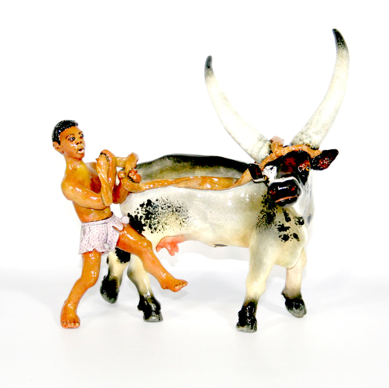 Grey Ankole cow with a shepherd with a rope wearing purple shorts with calf