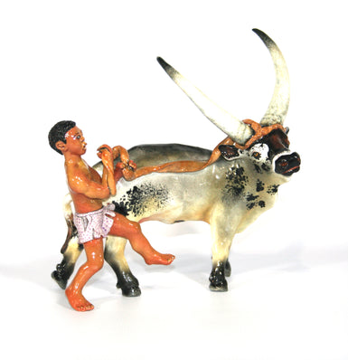 Grey Ankole cow with a shepherd with a rope wearing purple shorts with calf