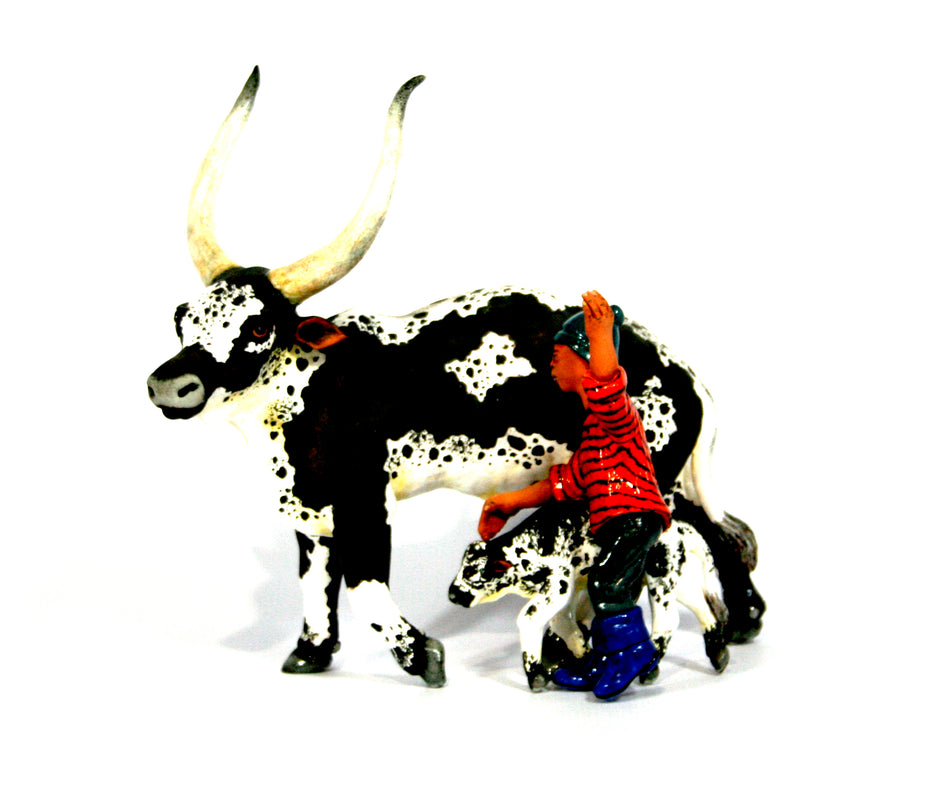 Black and white Ankole and calf with shepherd with blue gum boots and blue hat