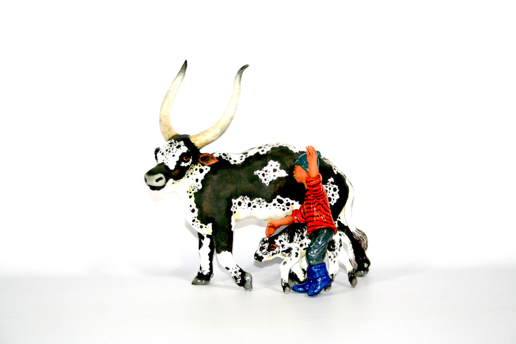 Black and white Ankole and calf with shepherd with blue gum boots and blue hat