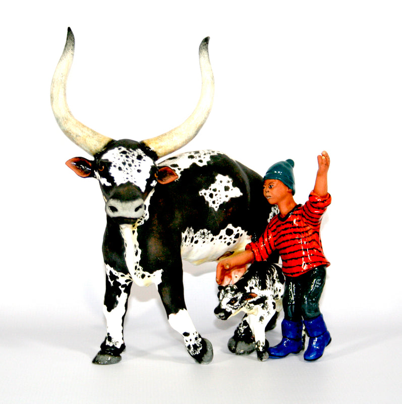 Black and white Ankole and calf with shepherd with blue gum boots and blue hat