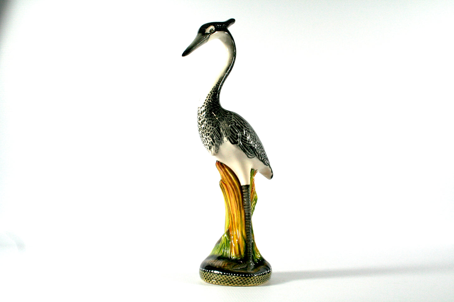 Black-headed heron