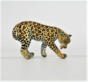 Small standing leopard licking front limb