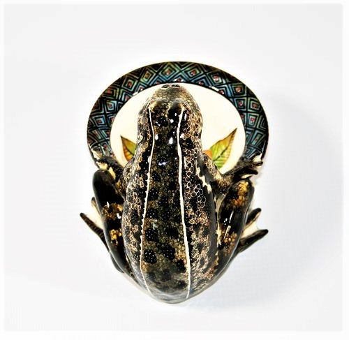 Black & brown squatting frog with flower ring bowl
