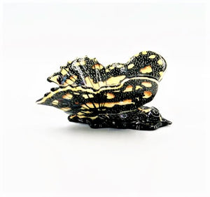 Black & Yellow Butterfly magnet