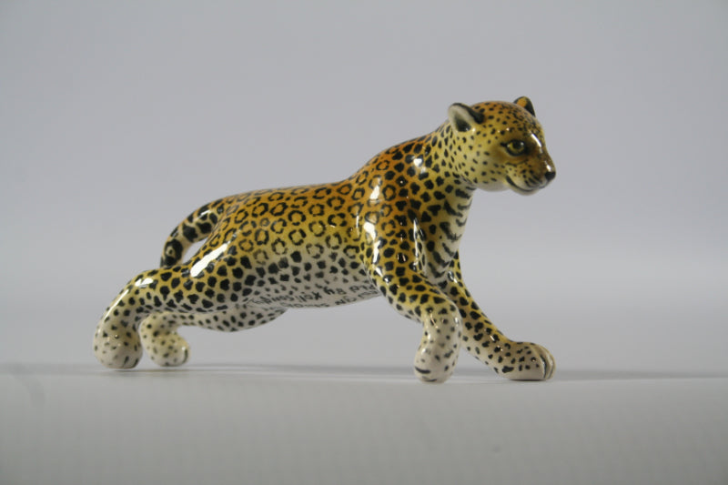 Extra small stretching leopard