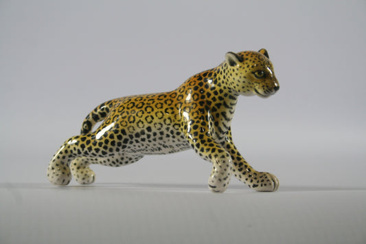Extra small stretching leopard