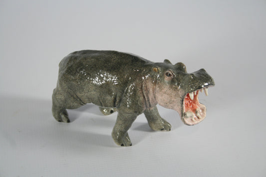 Hippo with open mouth