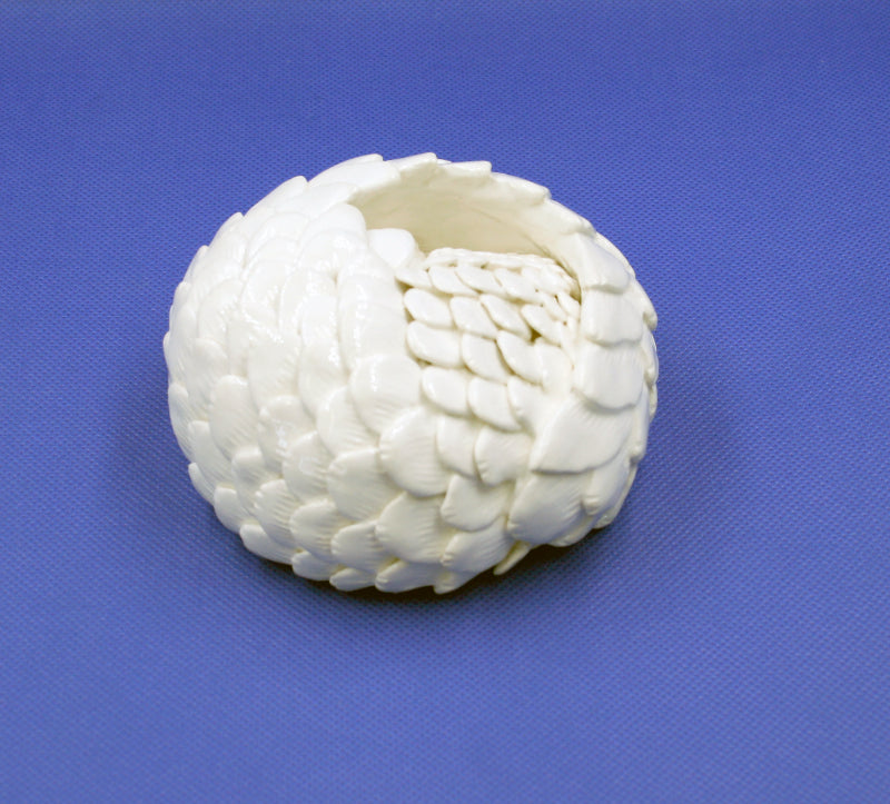 Small white pangolin rolled into ball 3
