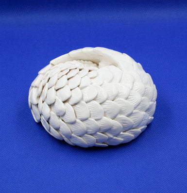 Small white pangolin rolled into ball 2
