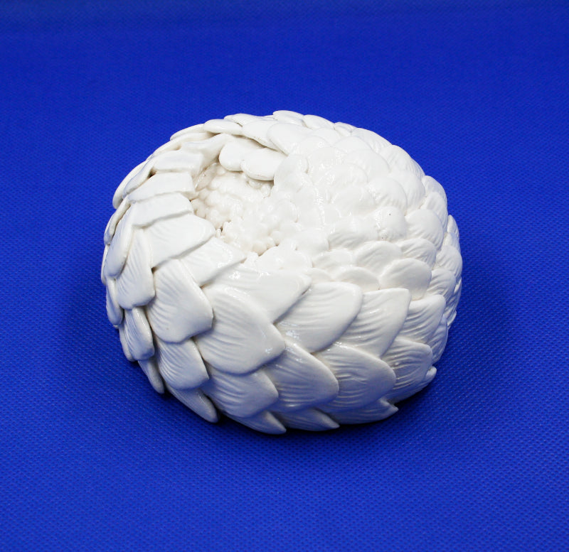 Small white pangolin rolled into ball 2