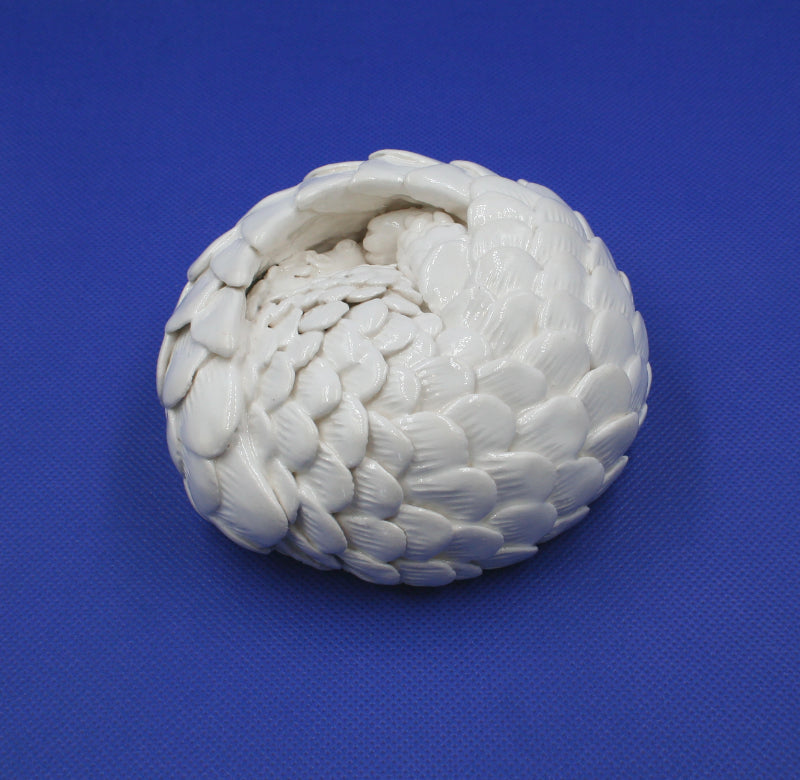 Small white pangolin rolled into ball 1
