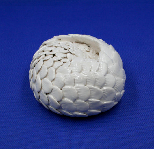 Small white pangolin rolled into ball 1
