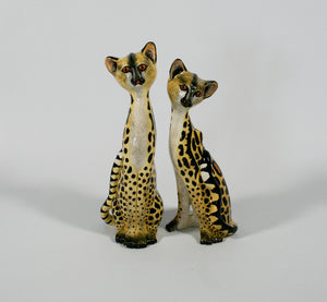 Genet Pair