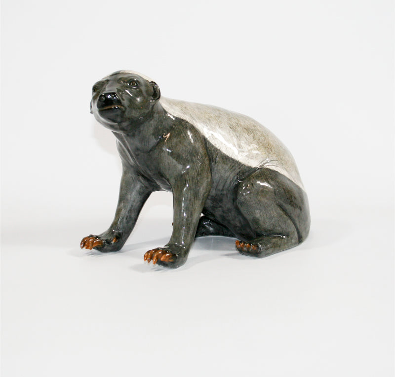 Honey Badger sitting