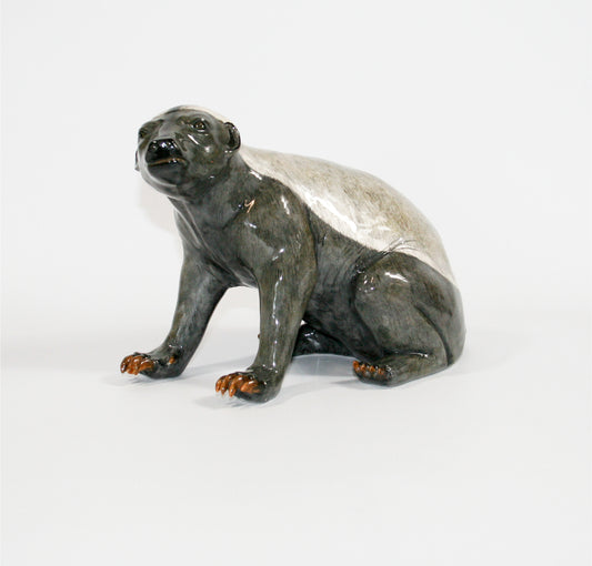 Honey Badger sitting