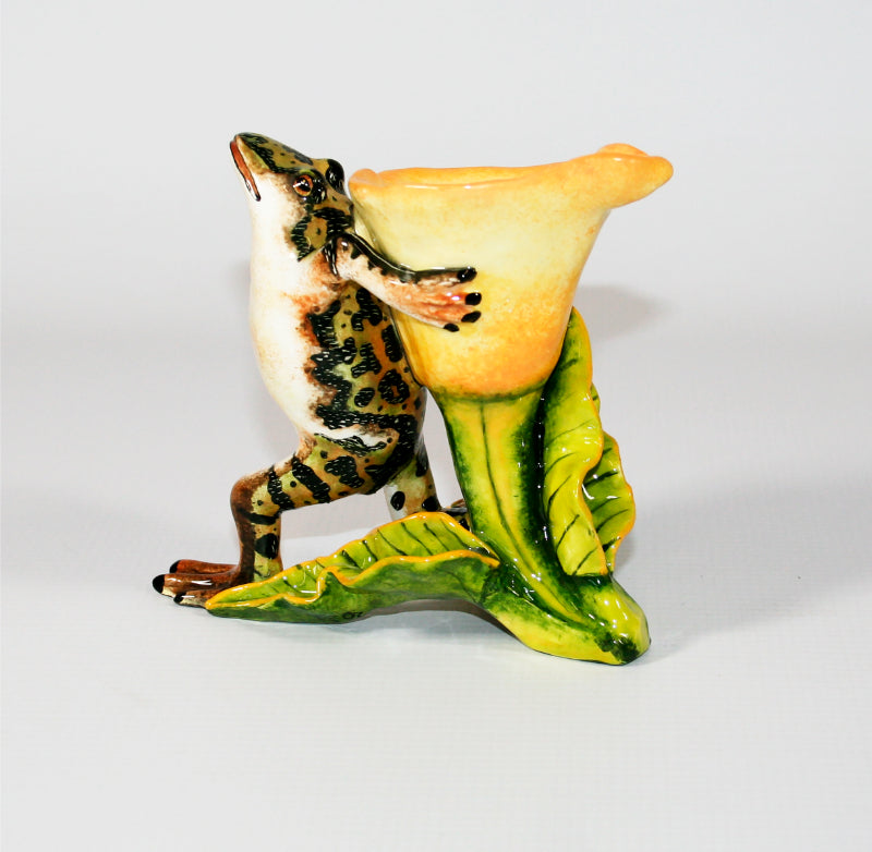 Green brown frog yellow flower toothpick holder