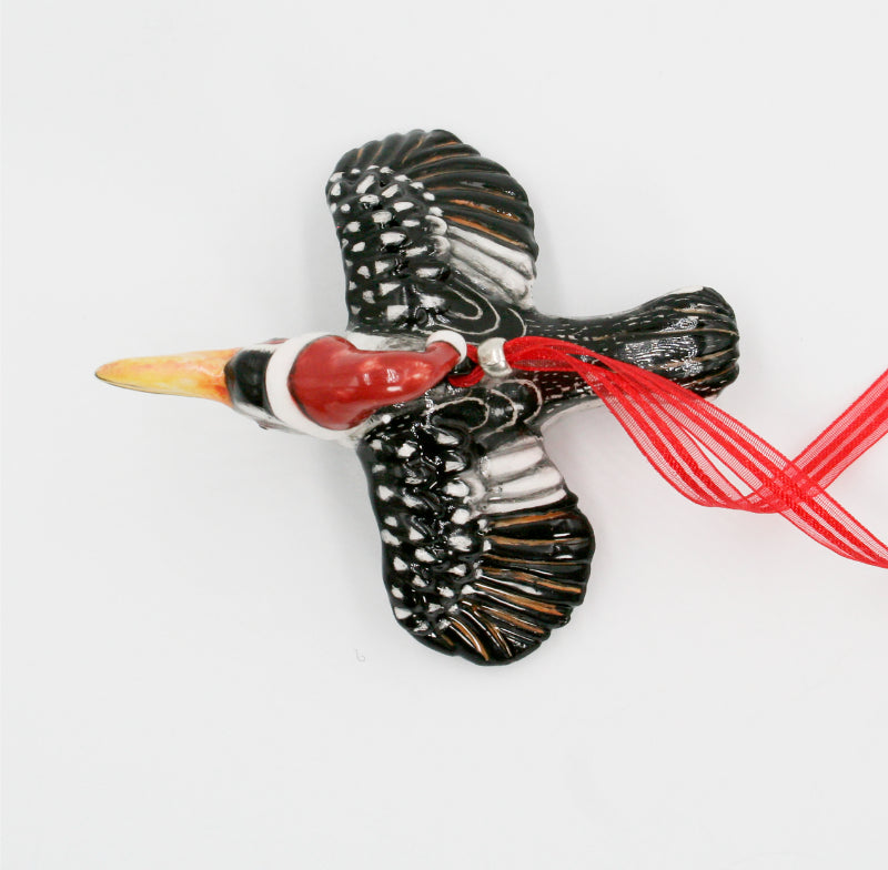 Damara Hornbill tree hanger medium