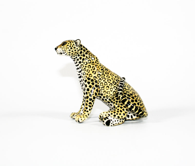 Medium Leopard sitting on side with legs stacked