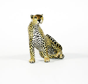 Medium Leopard sitting on side with legs stacked