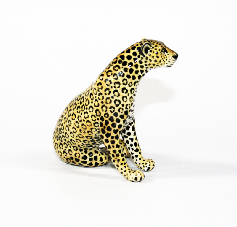 Medium Leopard sitting on side with legs stacked