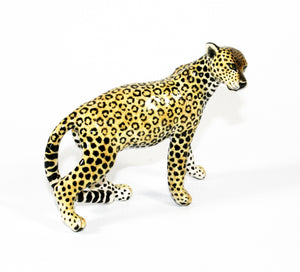 Medium Leopard Stepping with tilted head