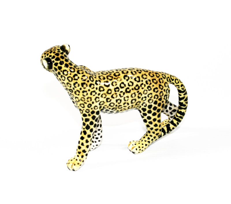 Medium Leopard Stepping with tilted head