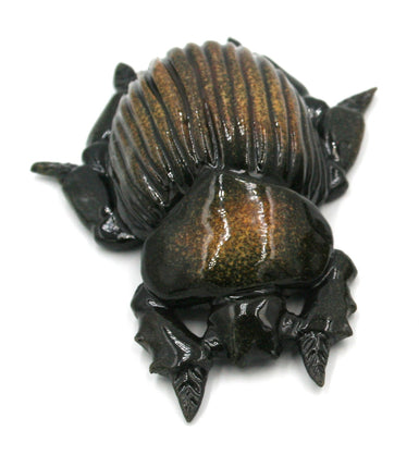 Brown beetle with black stripes