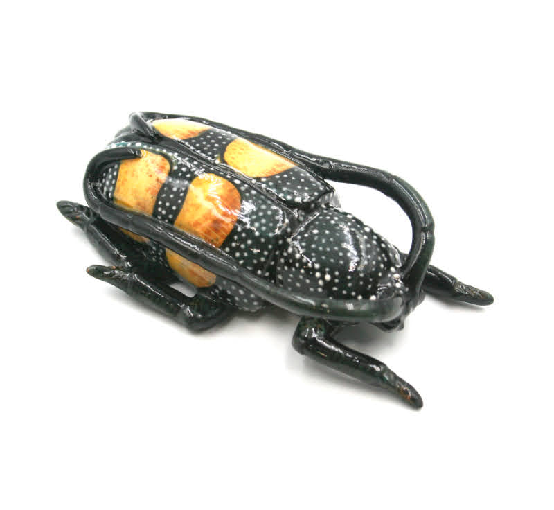 Black beetle with orange markings and white spots