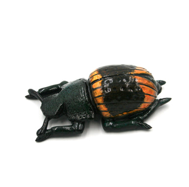 Deep green beetle with brown and yellow wings