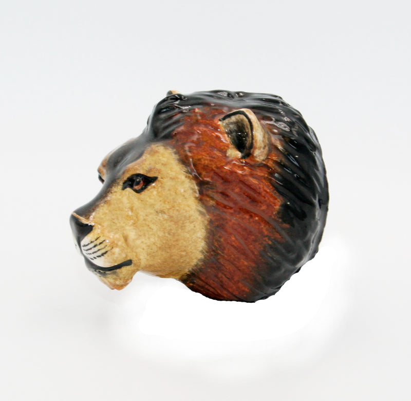 Lion 4 magnet