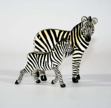 Zebra mother and baby 3
