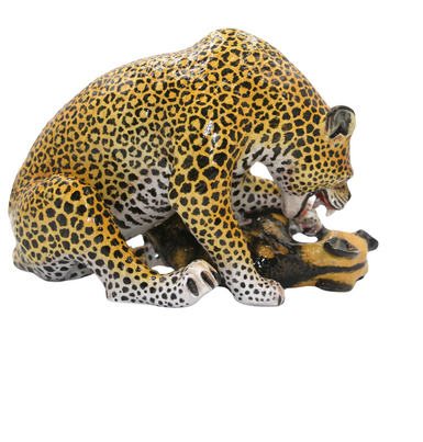 Leopard and wild dog