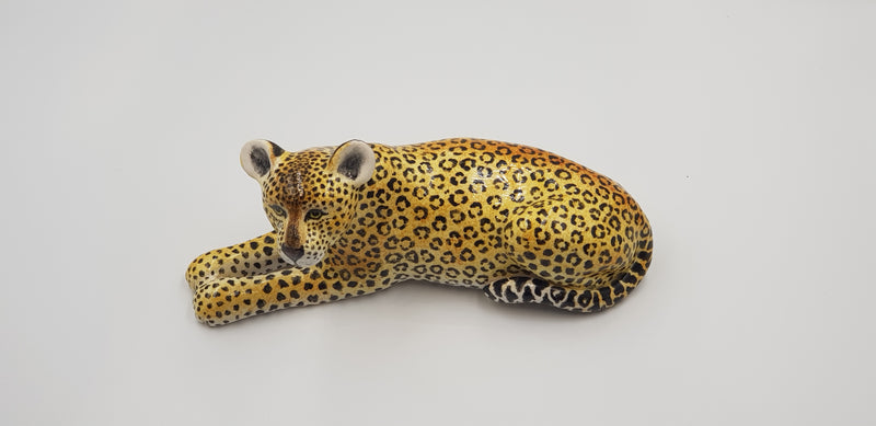 Leopard Lying Down