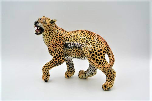 Leopard with head to side open mouth
